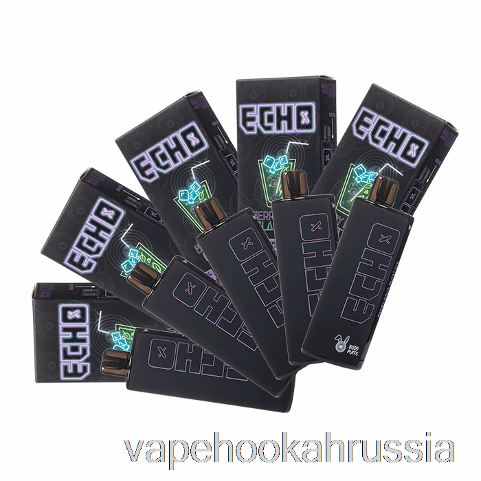 Vape Russia [10 упаковок] Echo 8000 одноразовые
